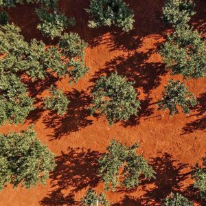 alt="Masseria Lamacoppa"