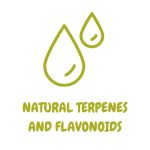 alt="terpenes"