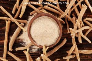 alt="Ashwagandha"