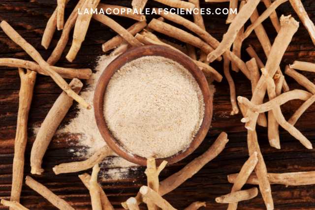 alt="Ashwagandha"