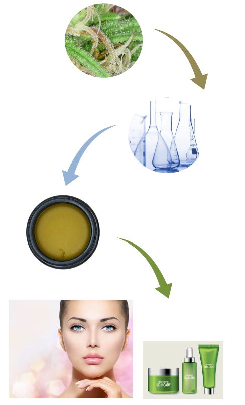 alt="cosmetic ingredients"