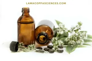 alt="anti inflammatoire naturel"