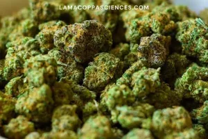 alt="Is weed legal in Italy?"