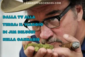 alt="Jim Belushi cannabis"