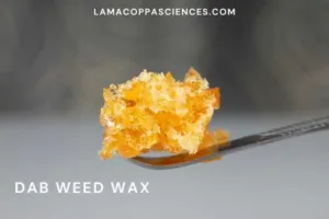 alt="dabbing dab weed"