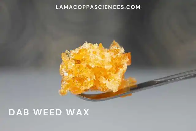 alt="dabbing dab weed"