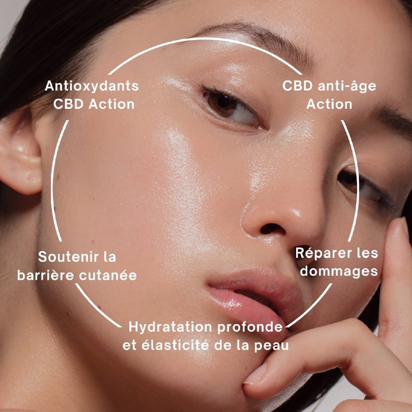 alt="ACTION ANTIOXYDANTE DU CBD"