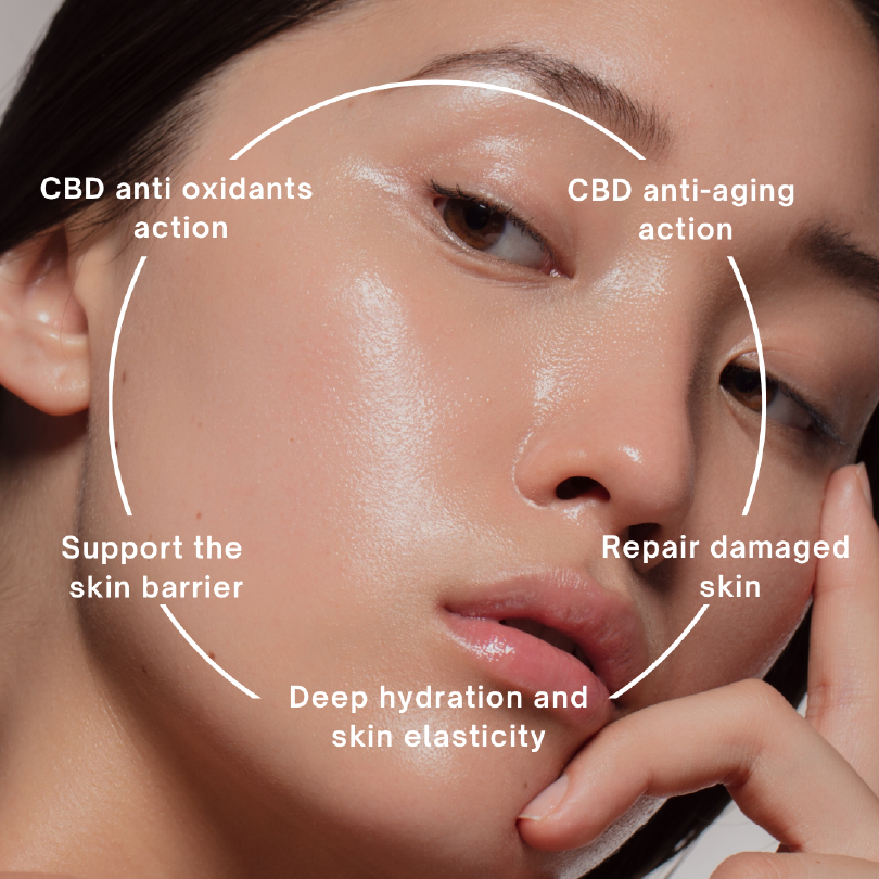alt="CBD ANTI OXIDANT ACTION"