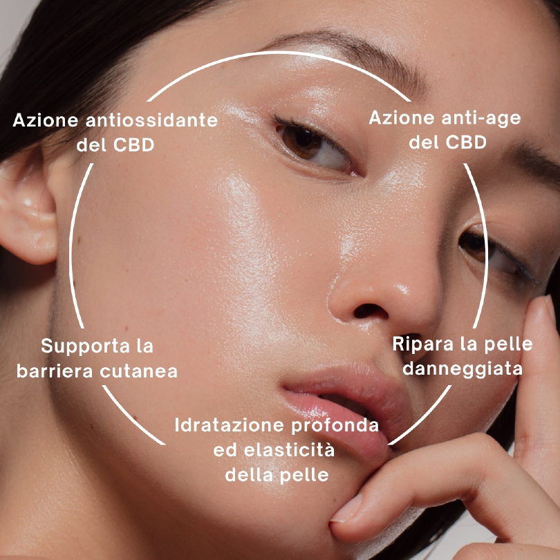 alt="AZIONE ANTIOSSIDANTE DEL CBD"