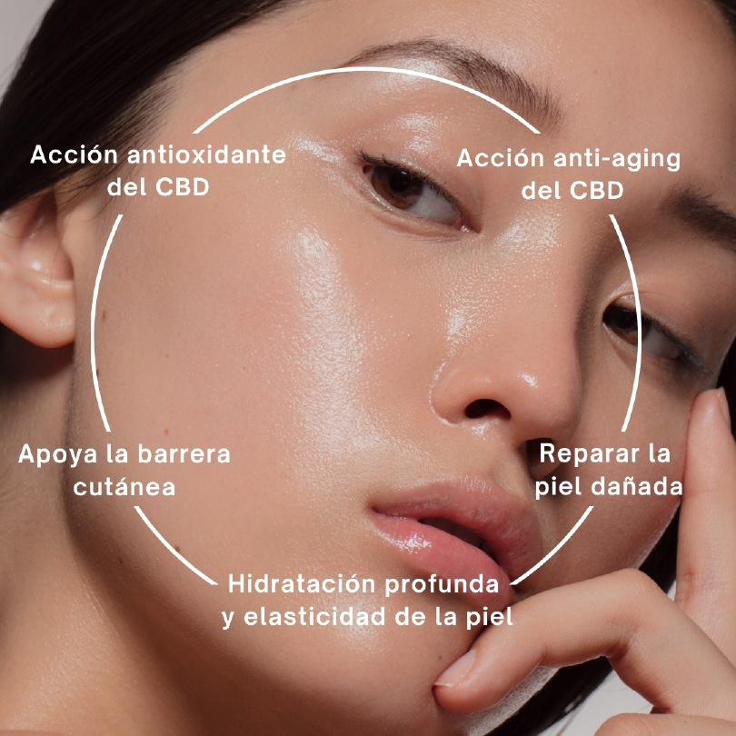alt="ACCIÓN ANTIOXIDANTE DEL CBD"