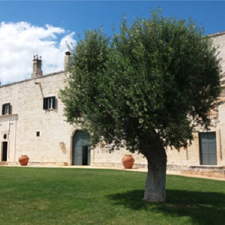 Masseria Lamacoppa, a 17th-century estate near Ostuni surrounded by olive trees