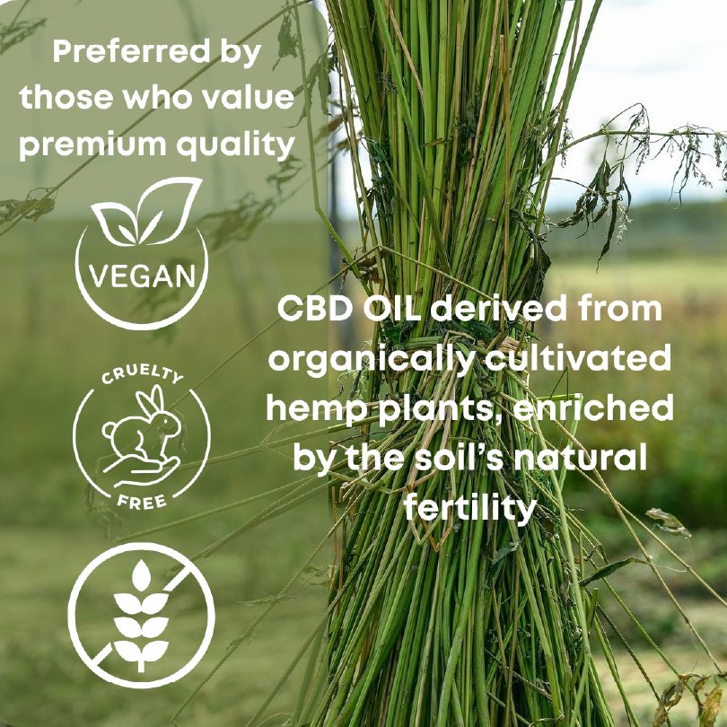 alt="Hemp plant"
