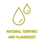 icona Terpeni e flavonoidi naturali