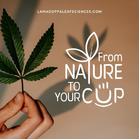 logo From-Nature-to-your-Cup