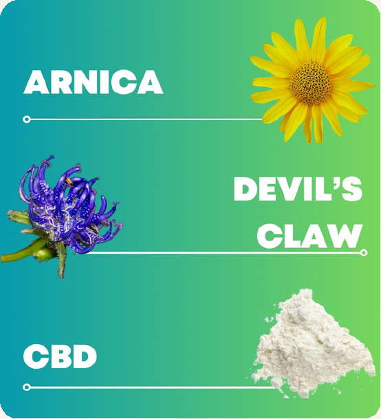 Arnica, artiglio del diavolo e CBD: gli ingredienti di Solldol